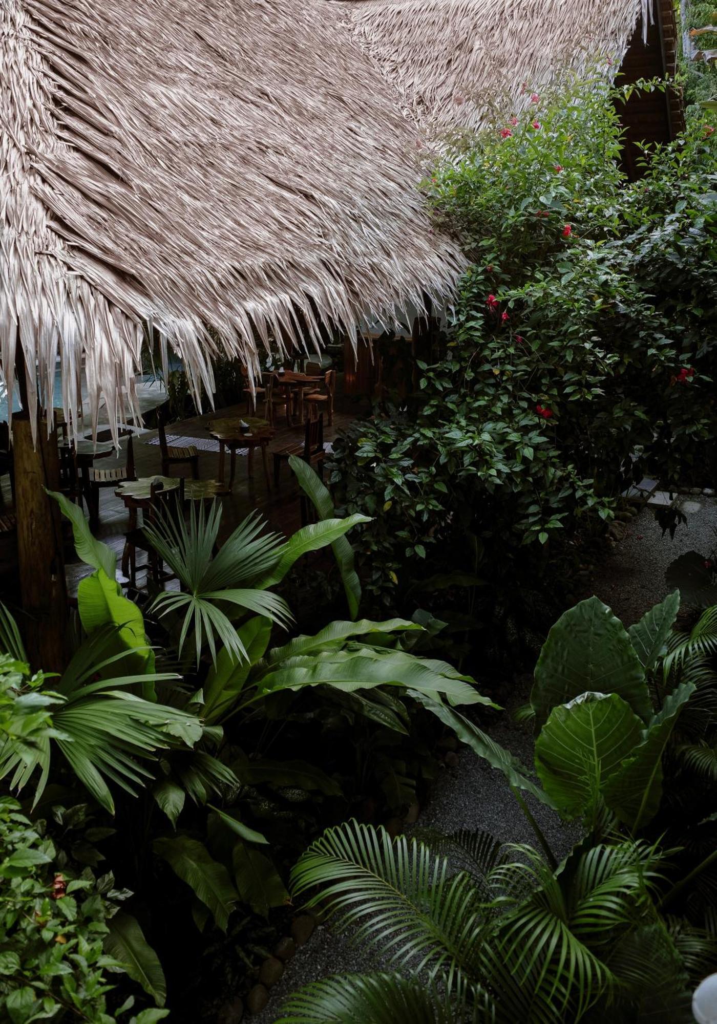 Conga Boutique Hotel Puerto Viejo de Talamanca Exterior photo